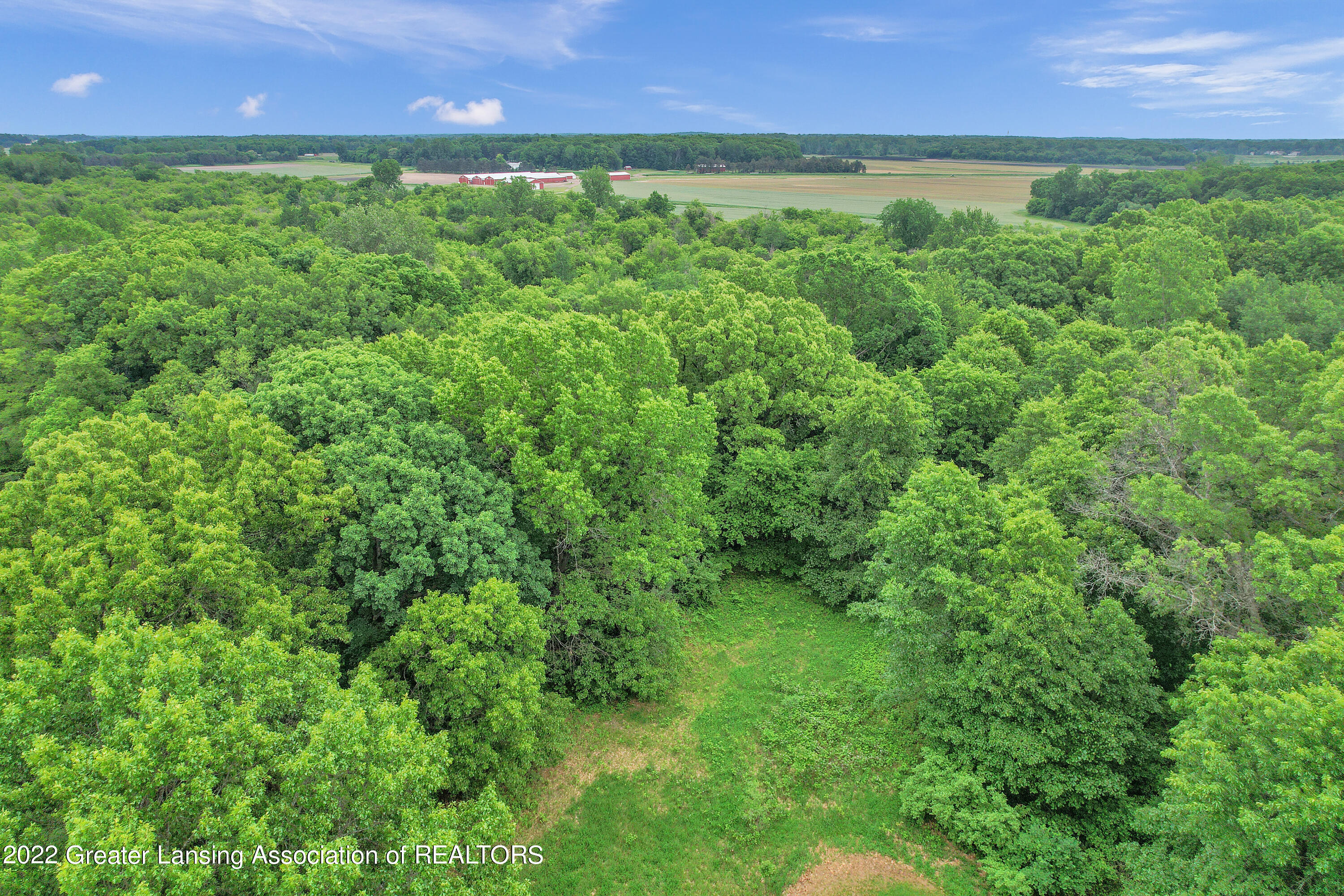 14933 Brown Road Lansing, MI 48906 - Photo 53 of 53 DJI_0282