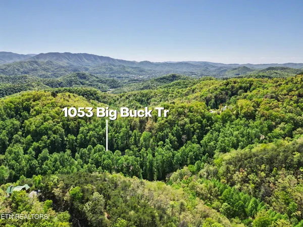 $1,250,000 | 1053 Big Buck Trail, Townsend, TN 37882