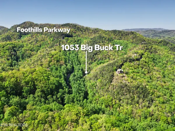 $1,250,000 | 1053 Big Buck Trail, Townsend, TN 37882