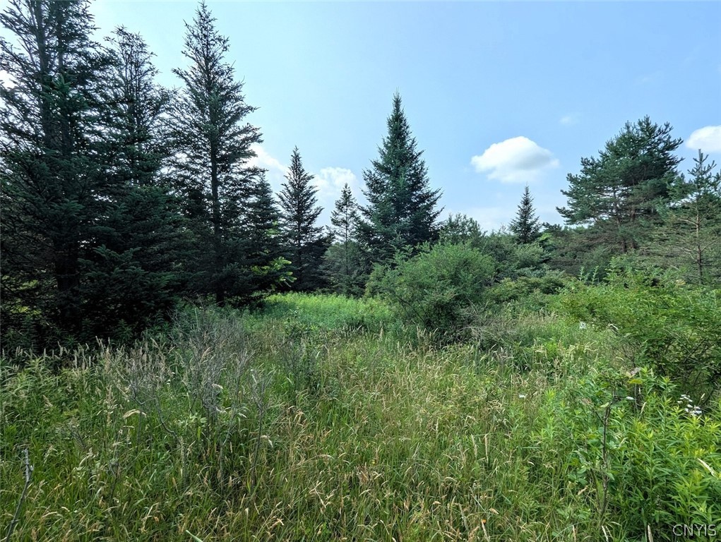 8880 Hemlock Road Wheeler, NY 14809 - Photo 36 of 50