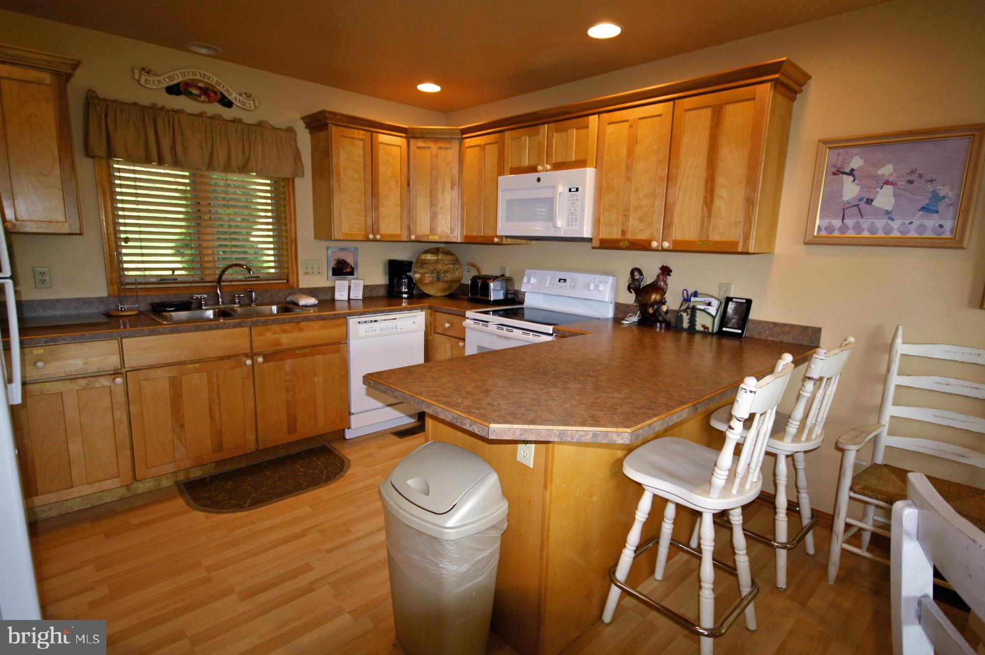 104 Roman Ridge Road Oakland, MD 21550 - Photo 2 of 43 Gallery Image 2
