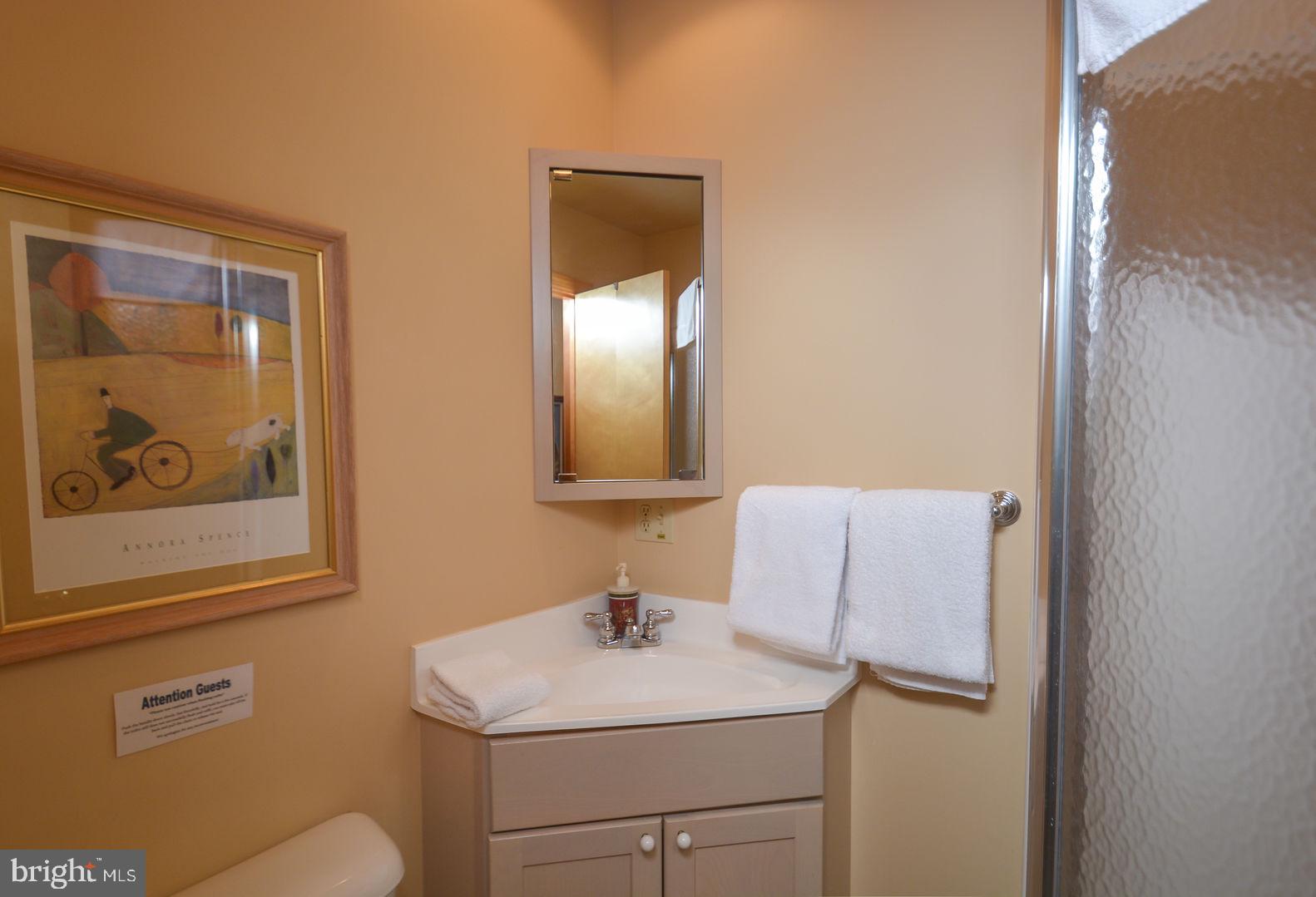 104 Roman Ridge Road Oakland, MD 21550 - Photo 18 of 43 Gallery Image 18