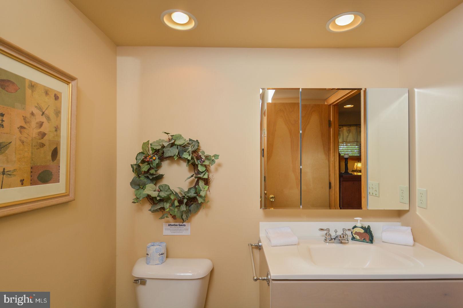 104 Roman Ridge Road Oakland, MD 21550 - Photo 42 of 43 Gallery Image 42