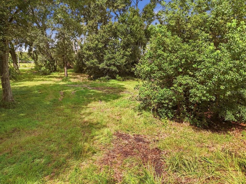 2929 Al Simmons Road Dover, FL 33527 - Photo 3 of 30 Gallery Image 3