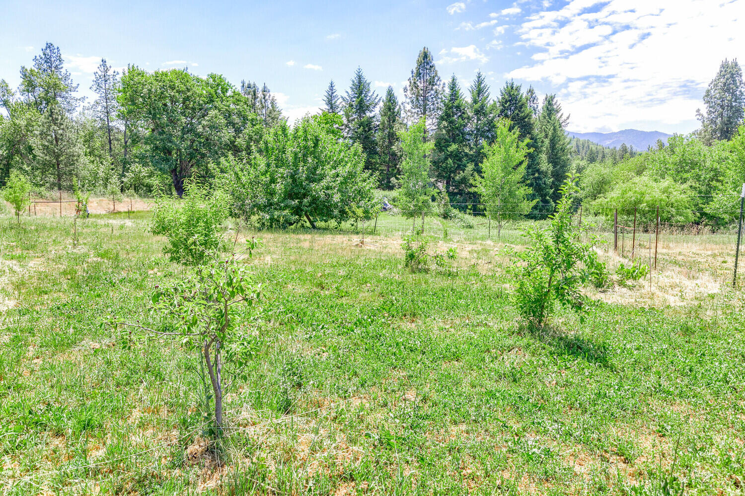 3145 Helms Road Grants Pass, OR 97527 - Photo 41 of 79 84_HR_84_mls