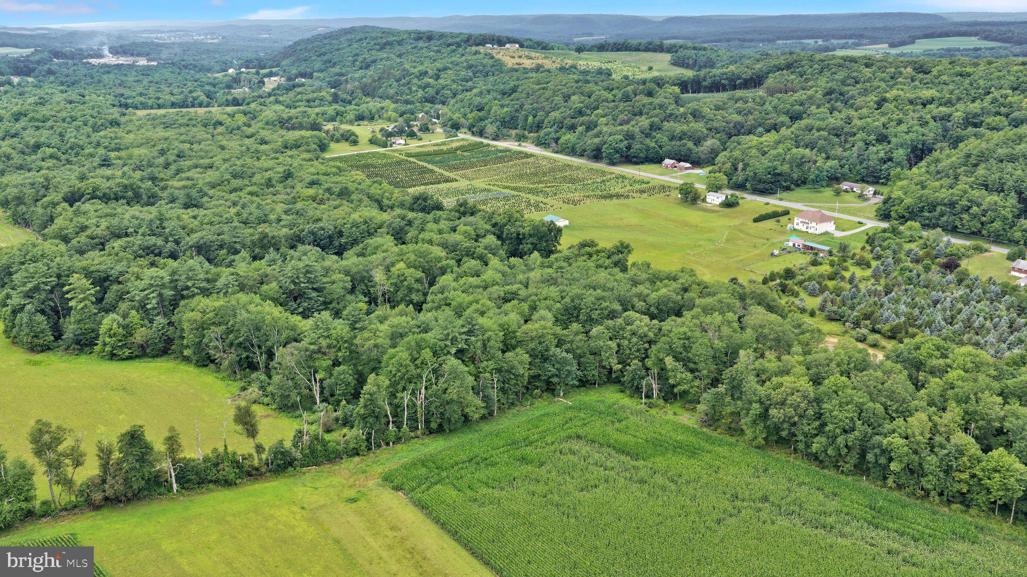 0 Summer Valley Road New Ringgold, PA 17960 - Photo 5 of 6 Aerial