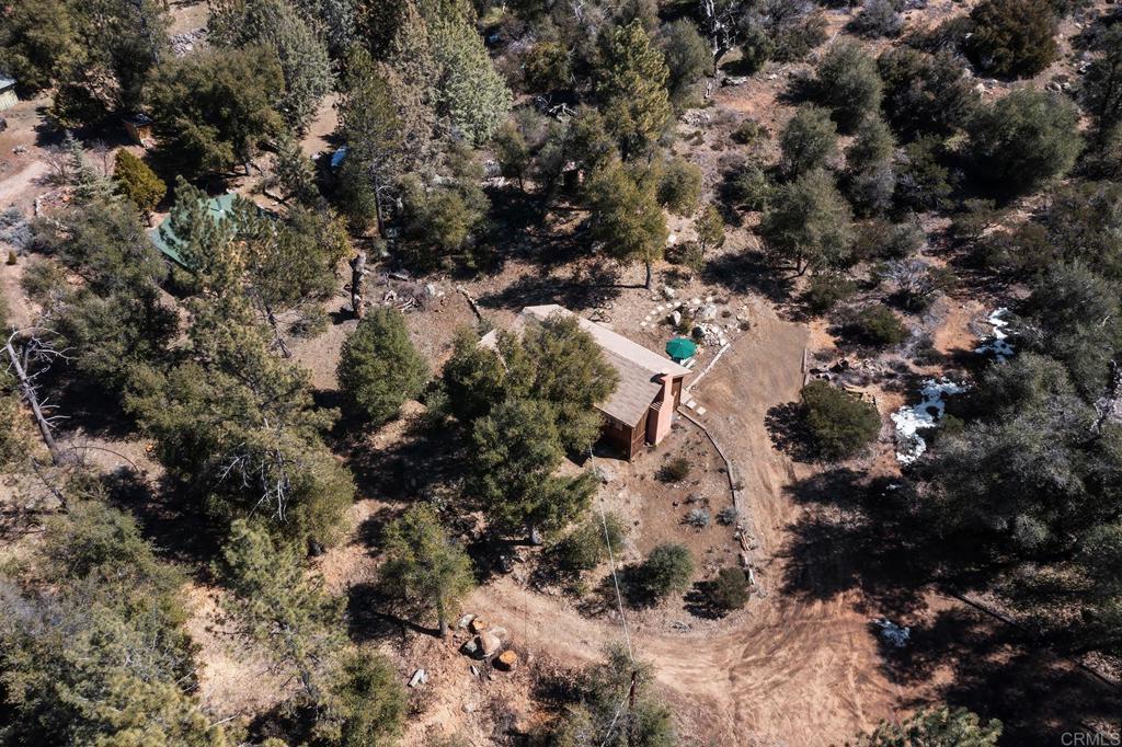 9150- Pine Creek Road, Unit 39 Pine Valley, CA 91962 - Photo 26 of 27 a view of a forest with a tree