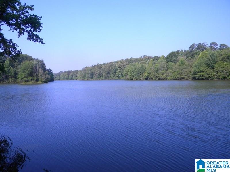 7378 State Lake Road Delta, AL 36258 - Photo 37 of 38