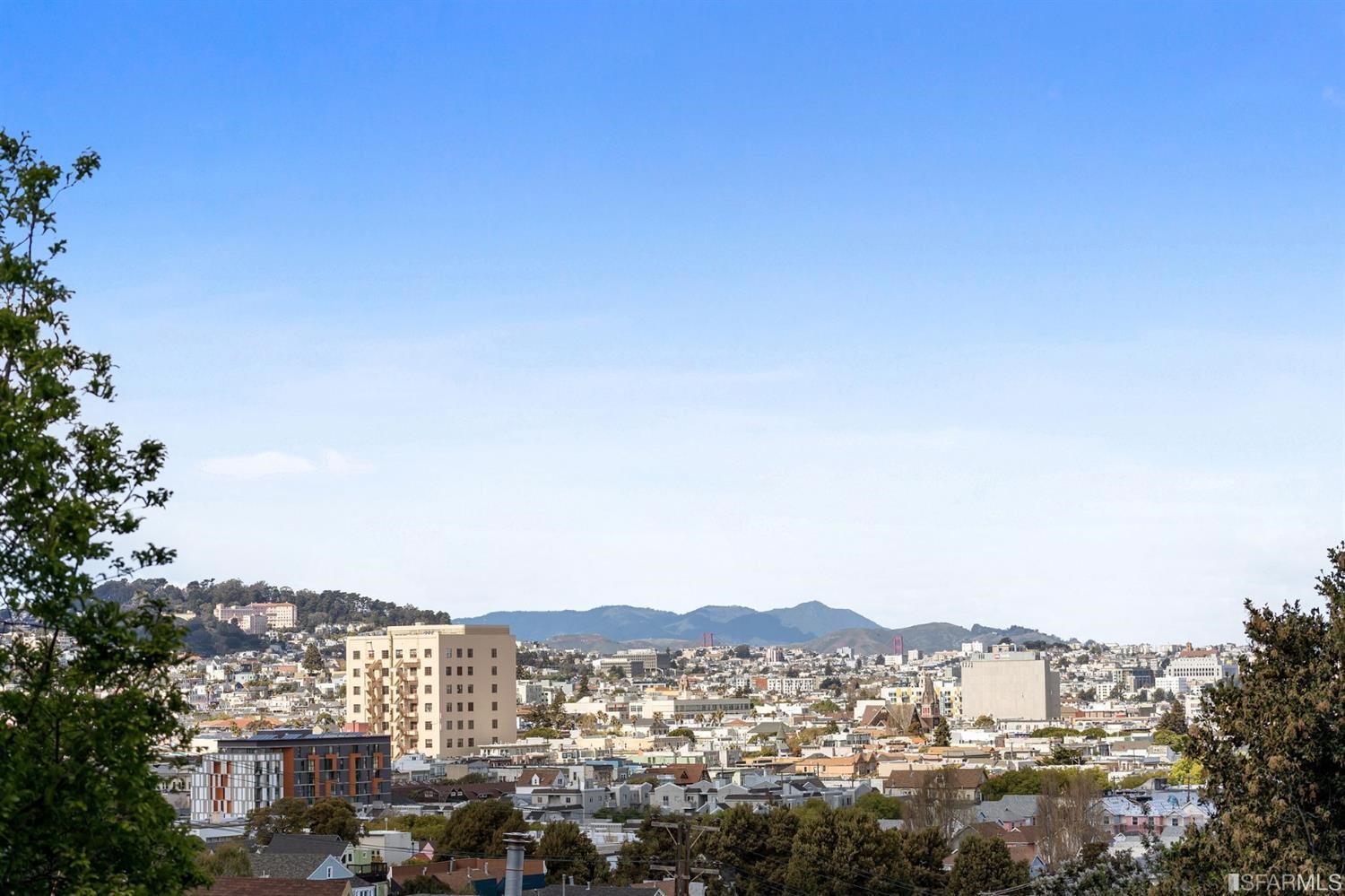205 Ripley Street San Francisco, CA 94110 - Photo 49 of 71 Gallery Image 49