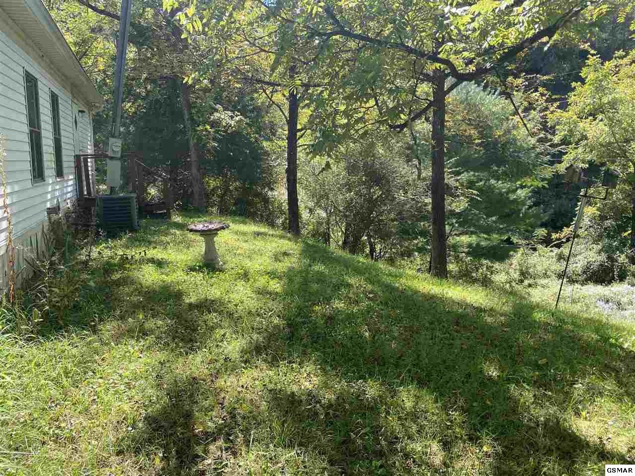 909 Stinnett Ridge Road Cosby, TN 37722 - Photo 4 of 35