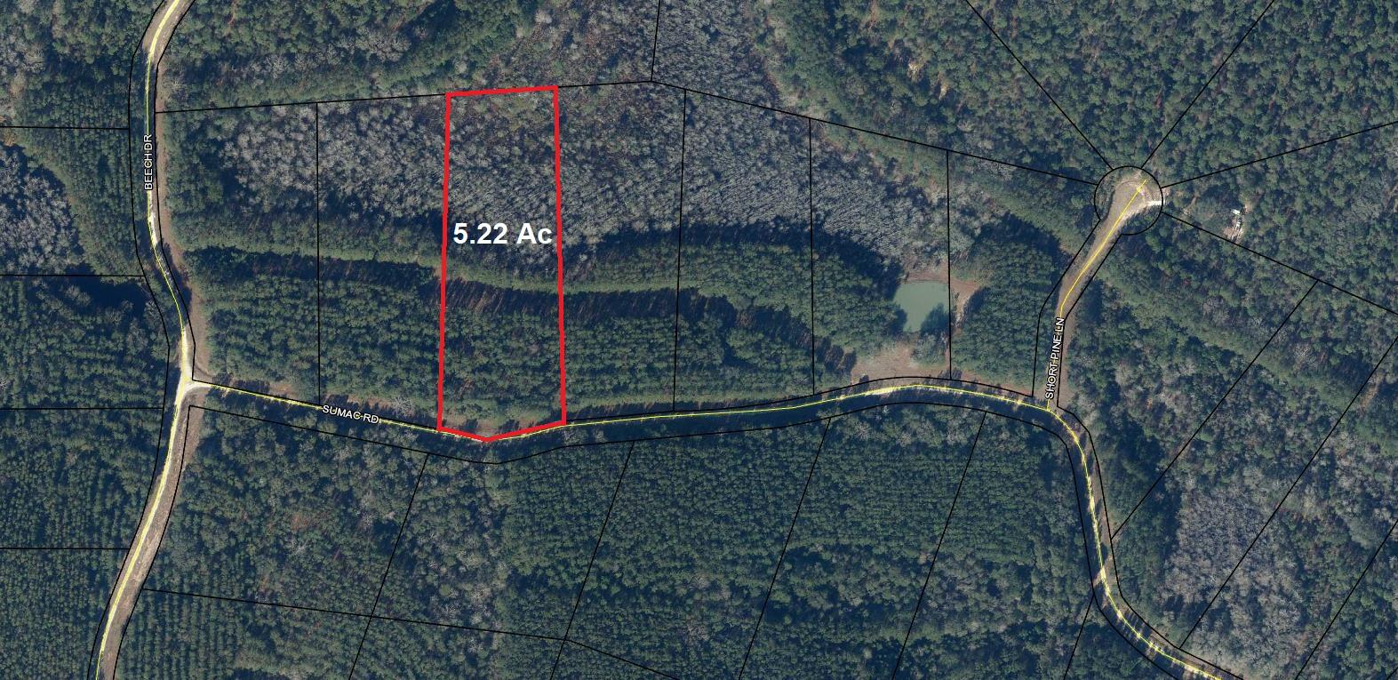 2409 Sumac Road Westville, FL 32464 - Photo 12 of 14 Aerial 1