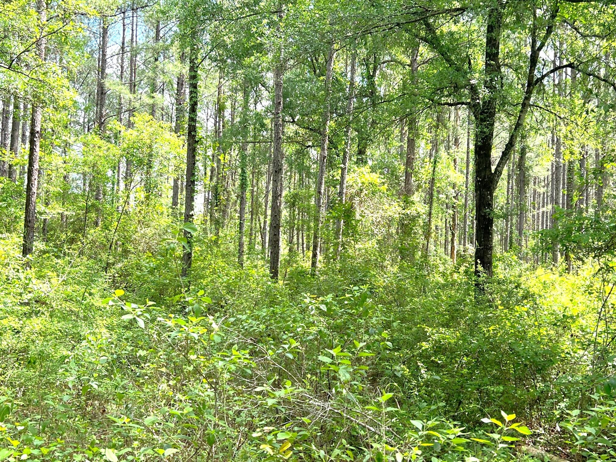 2409 Sumac Road Westville, FL 32464 - Photo 8 of 14 IMG_4632