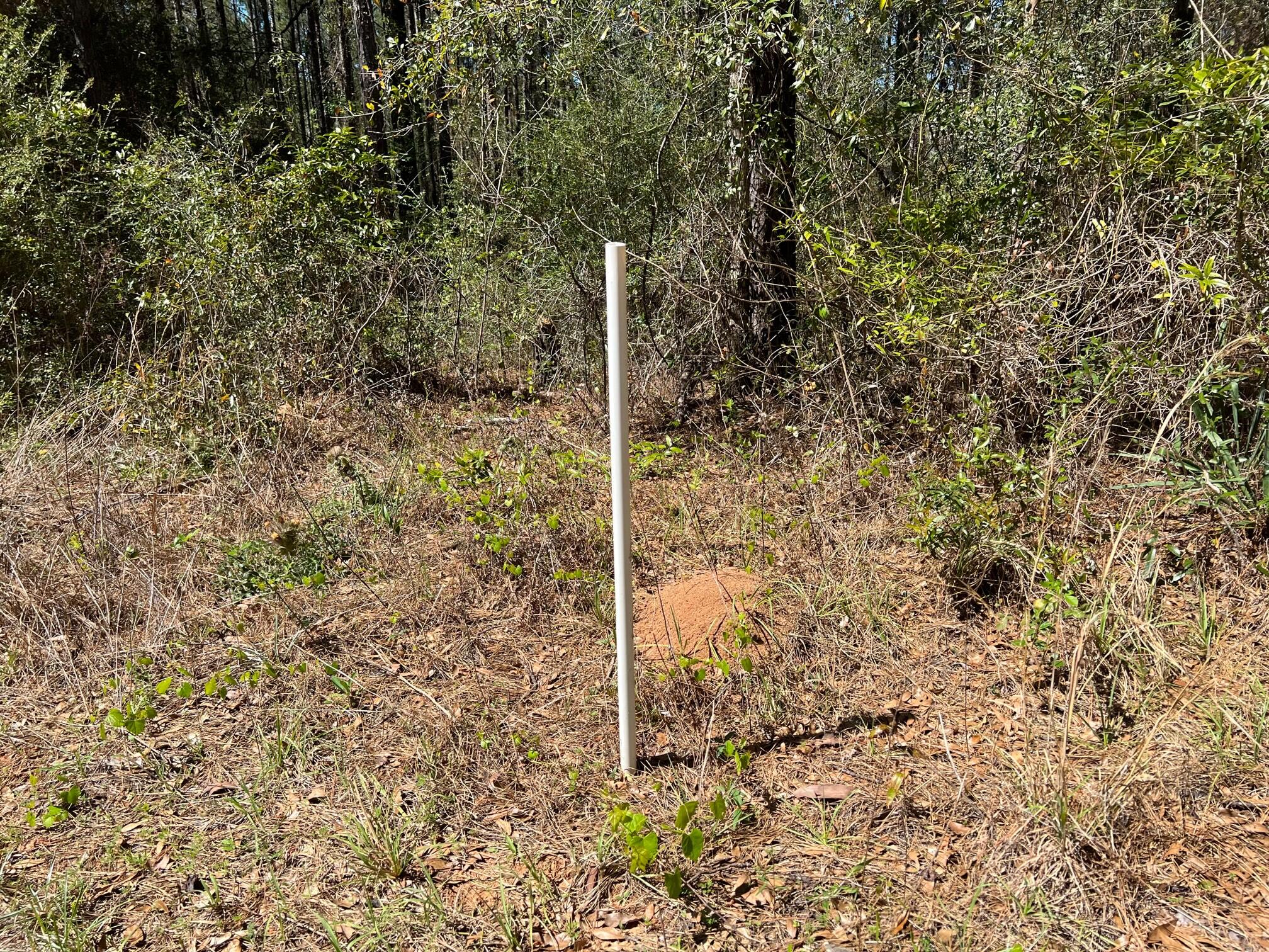 2409 Sumac Road Westville, FL 32464 - Photo 10 of 14 IMG_4406