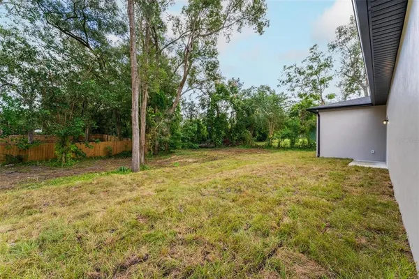 a backyard of a house with plants and tree
