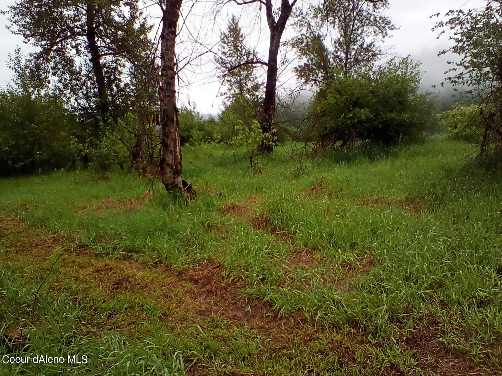 Nka Railroad Grade Road St. Maries, ID 83861 - Photo 11 of 36 IMG_20230609_061346