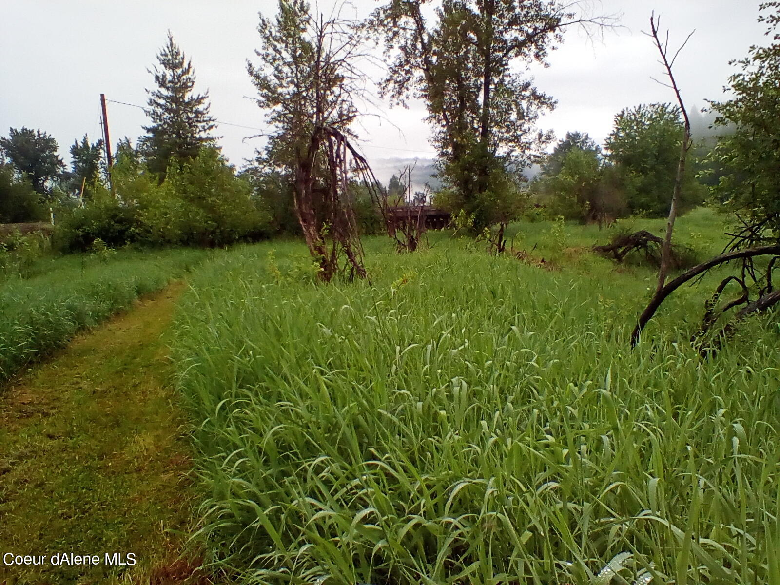 Nka Railroad Grade Road St. Maries, ID 83861 - Photo 12 of 36 IMG_20230609_061437