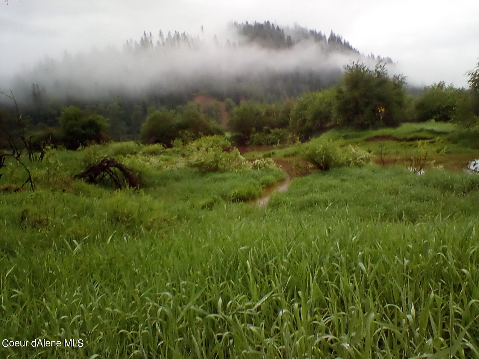 Nka Railroad Grade Road St. Maries, ID 83861 - Photo 13 of 36 IMG_20230609_061505
