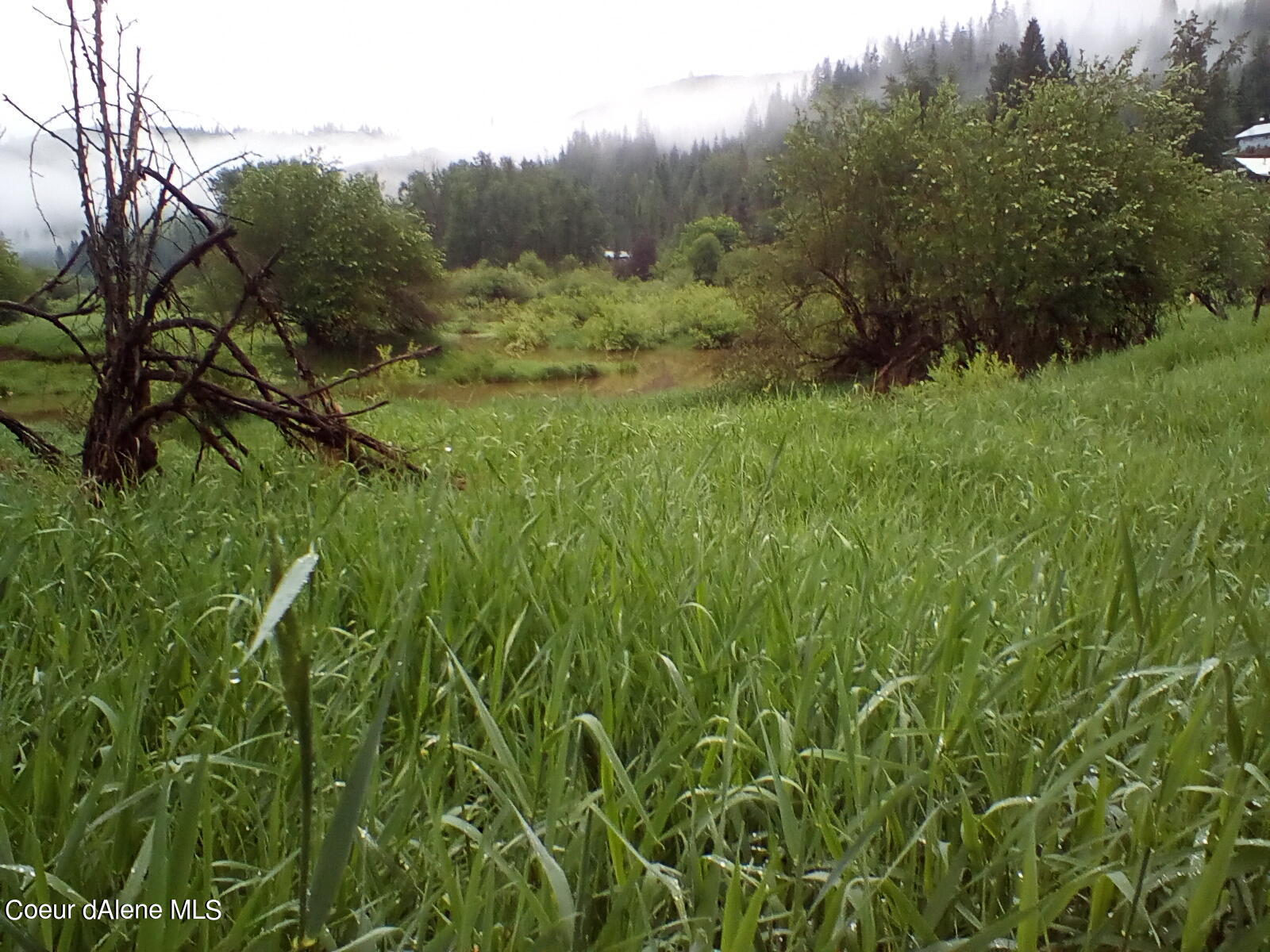 Nka Railroad Grade Road St. Maries, ID 83861 - Photo 15 of 36 IMG_20230609_061739