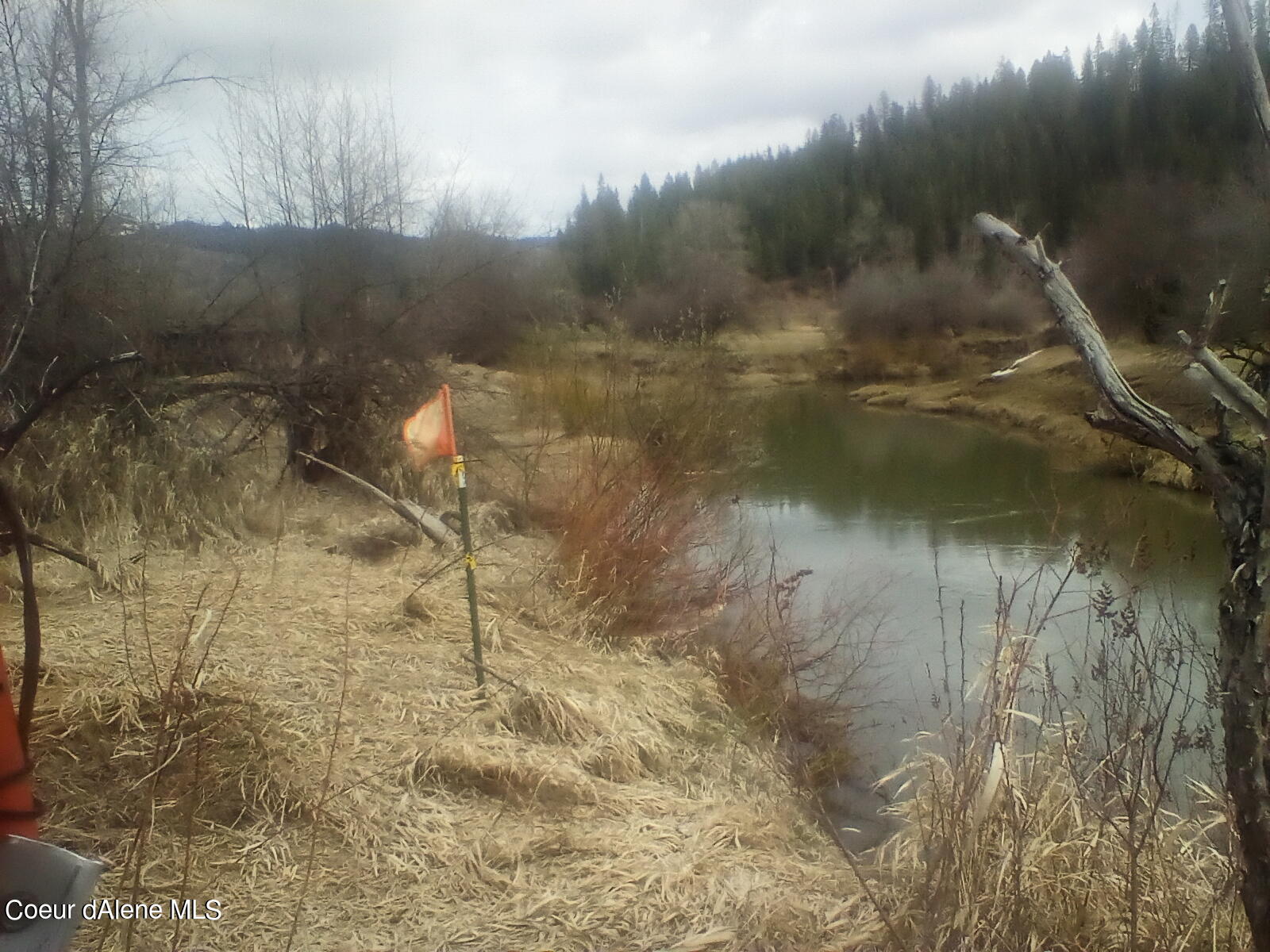 Nka Railroad Grade Road St. Maries, ID 83861 - Photo 17 of 36 IMG_20230417_133446