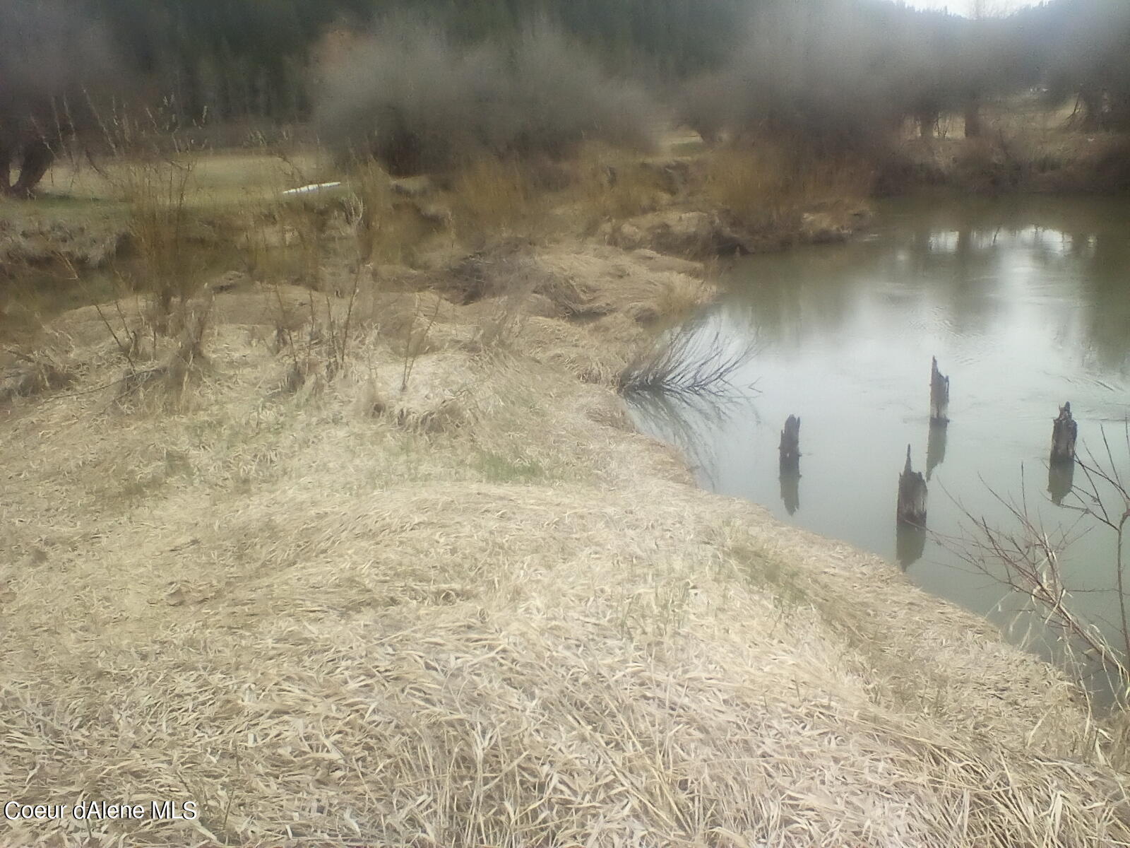Nka Railroad Grade Road St. Maries, ID 83861 - Photo 19 of 36 IMG_20230417_133814