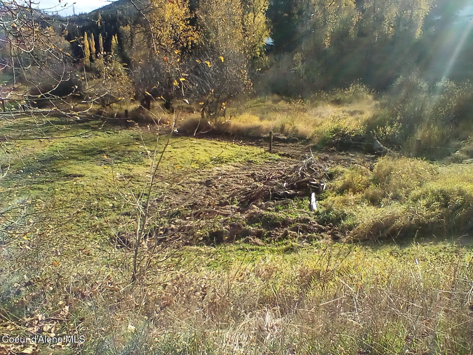 Nka Railroad Grade Road St. Maries, ID 83861 - Photo 34 of 36 IMG_20241026_144540