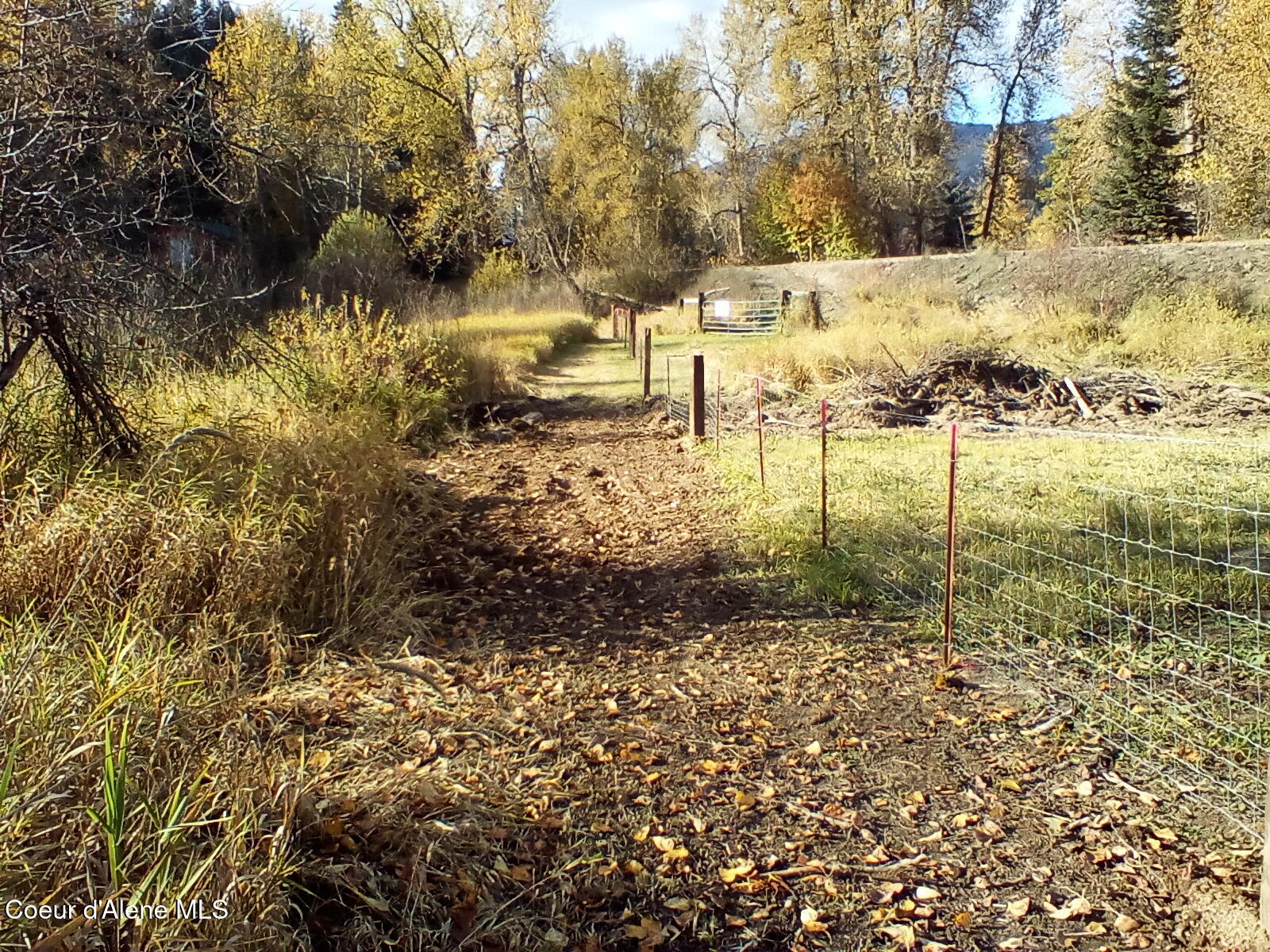 Nka Railroad Grade Road St. Maries, ID 83861 - Photo 35 of 36 IMG_20241026_145000