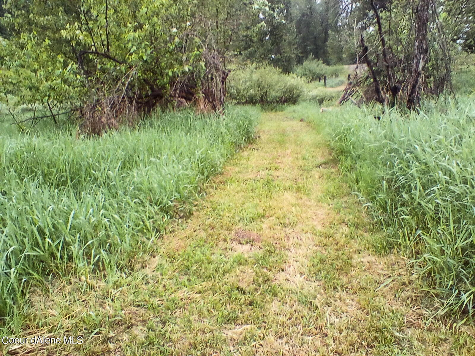 Nka Railroad Grade Road St. Maries, ID 83861 - Photo 6 of 36 IMG_20230609_061022