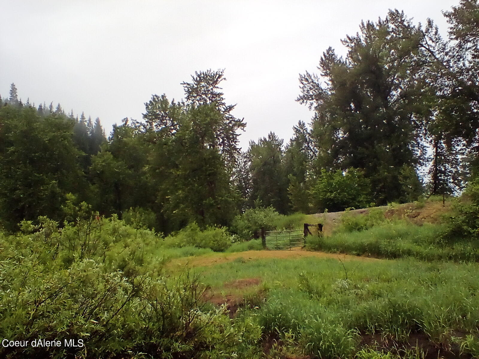 Nka Railroad Grade Road St. Maries, ID 83861 - Photo 7 of 36 IMG_20230609_061107