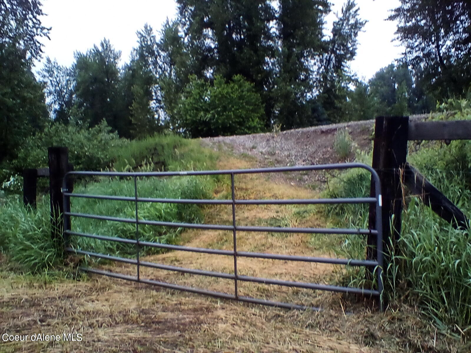 Nka Railroad Grade Road St. Maries, ID 83861 - Photo 8 of 36 IMG_20230609_061151