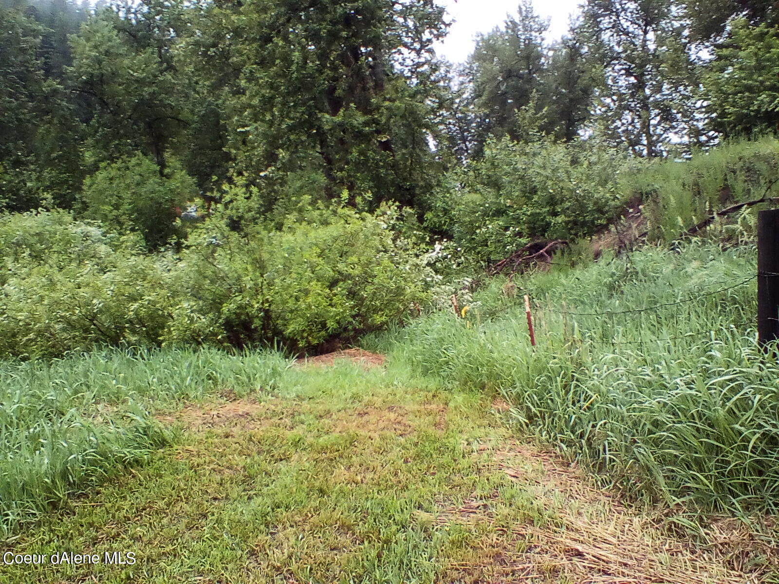 Nka Railroad Grade Road St. Maries, ID 83861 - Photo 9 of 36 IMG_20230609_061200