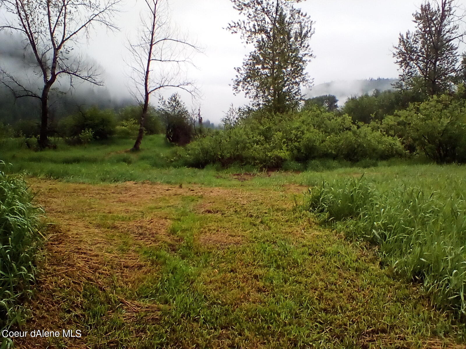 Nka Railroad Grade Road St. Maries, ID 83861 - Photo 10 of 36 IMG_20230609_061216