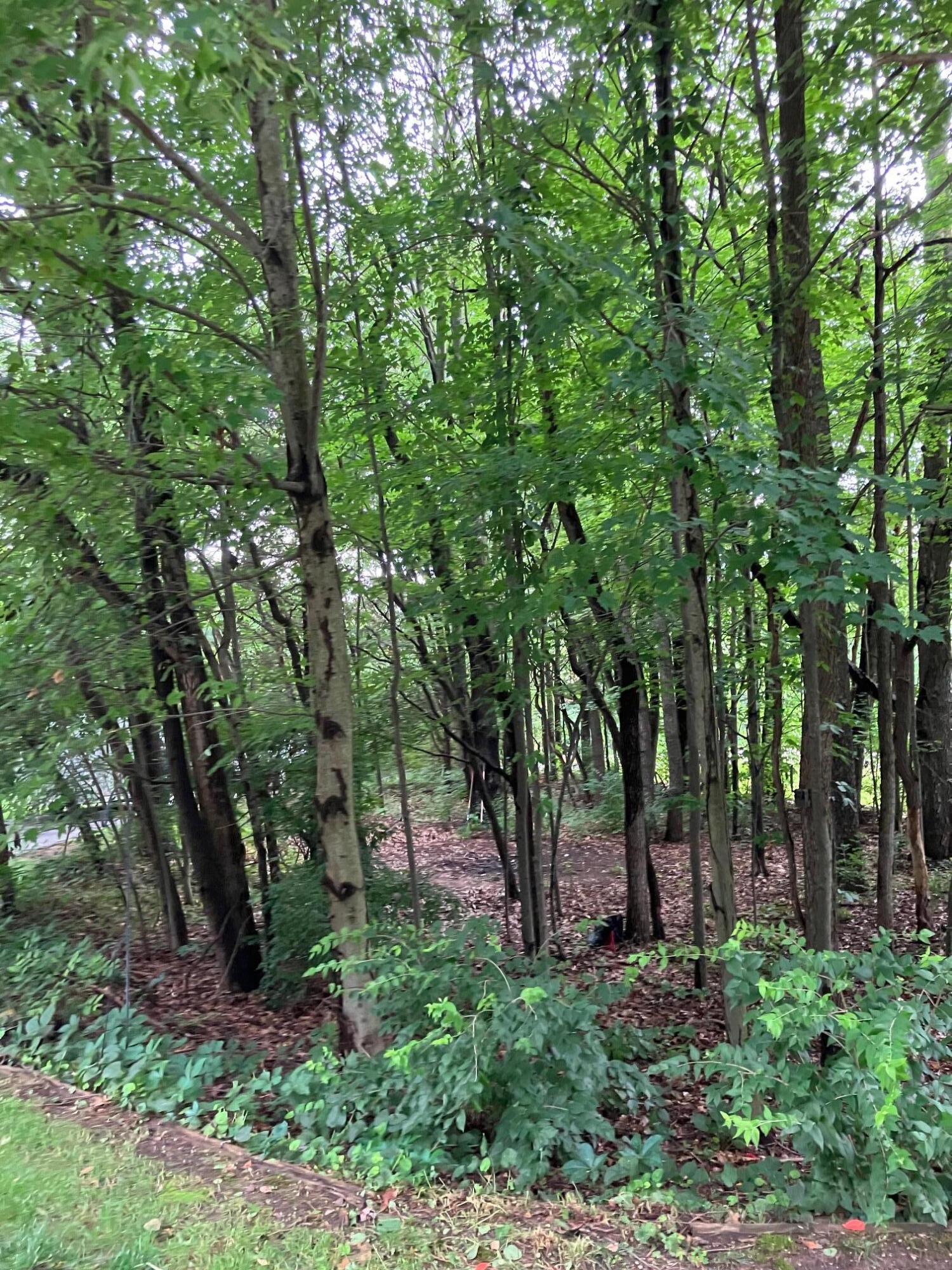 26095 Smother Road Sturgis, MI 49091 - Photo 13 of 37 Smother14