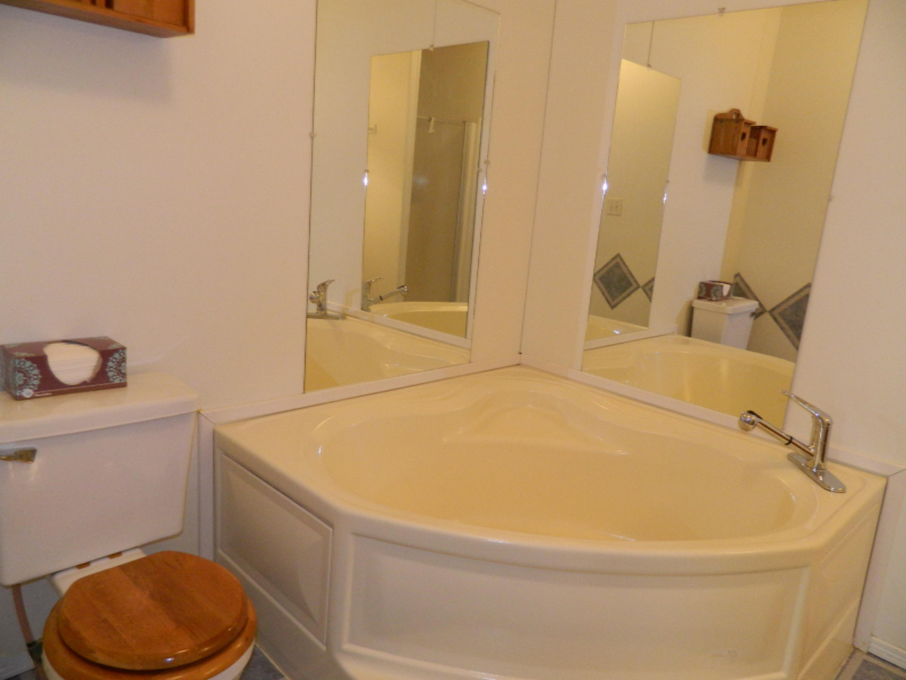 69211 Elkhart Road Edwardsburg, MI 49112 - Photo 13 of 15 Garden Tub