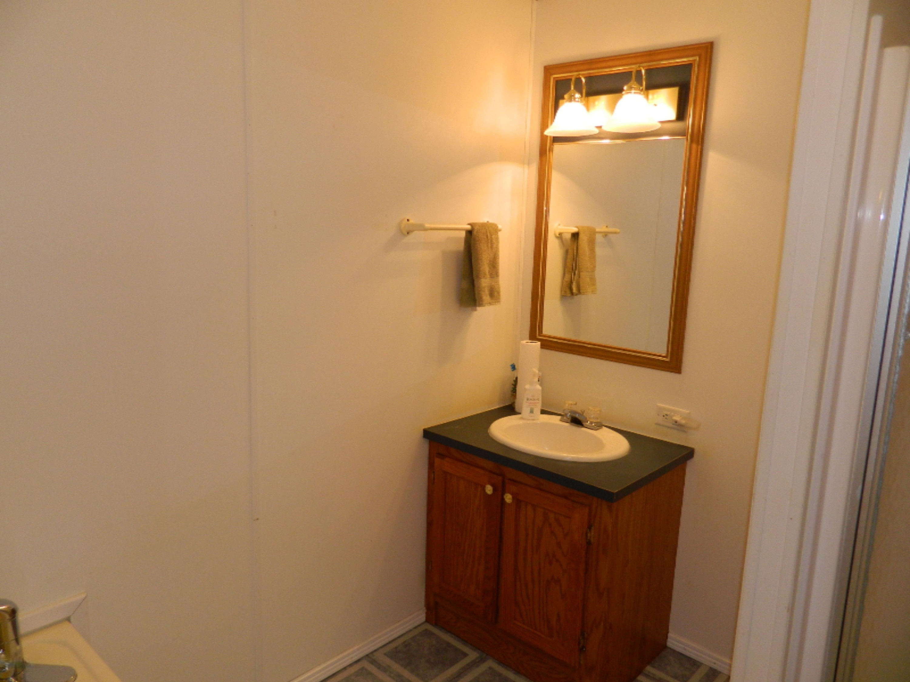 69211 Elkhart Road Edwardsburg, MI 49112 - Photo 14 of 15 Master Bath