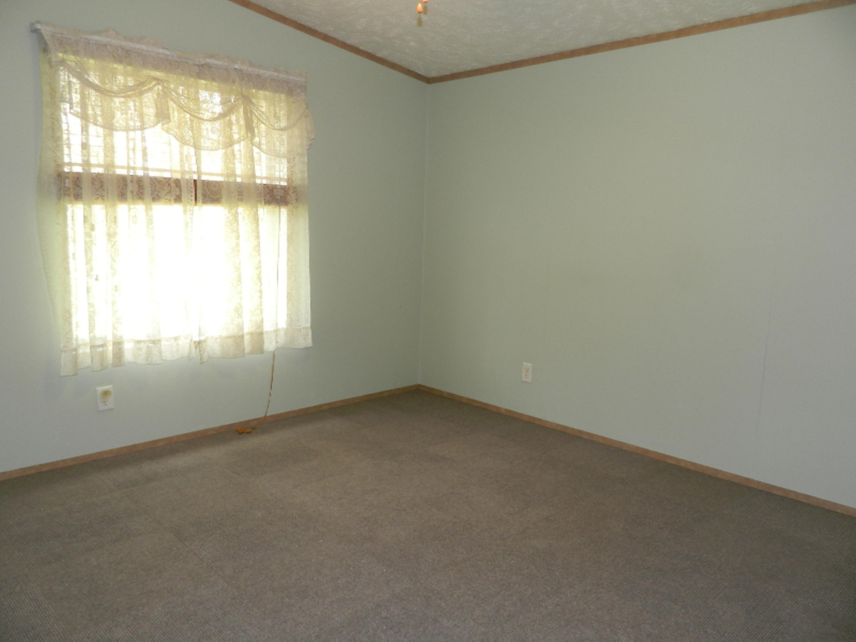 69211 Elkhart Road Edwardsburg, MI 49112 - Photo 9 of 15 New Carpet