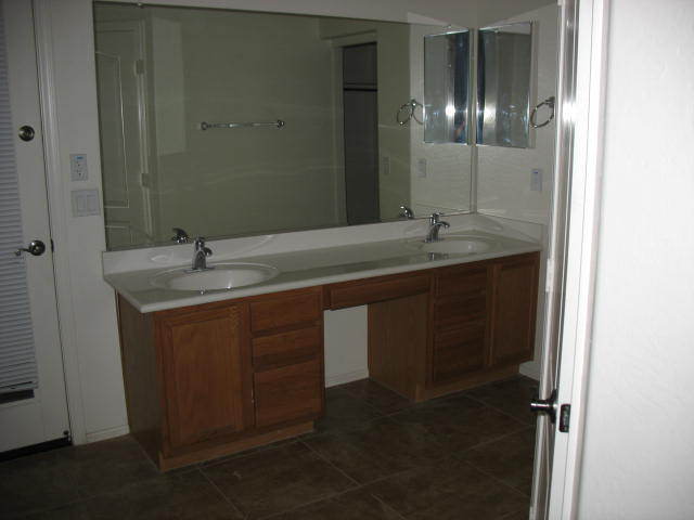 41124 West Coltin Way Maricopa, AZ 85138 - Photo 5 of 7 master bath