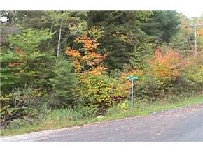 0 Pudding Hill Road Sutton, VT 05867 - Photo 4 of 4 Gallery Image 4