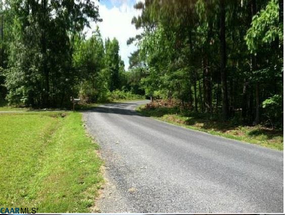 7898 Porters Road Esmont, VA 22937 - Photo 4 of 10 a view of a yard with plants and large trees