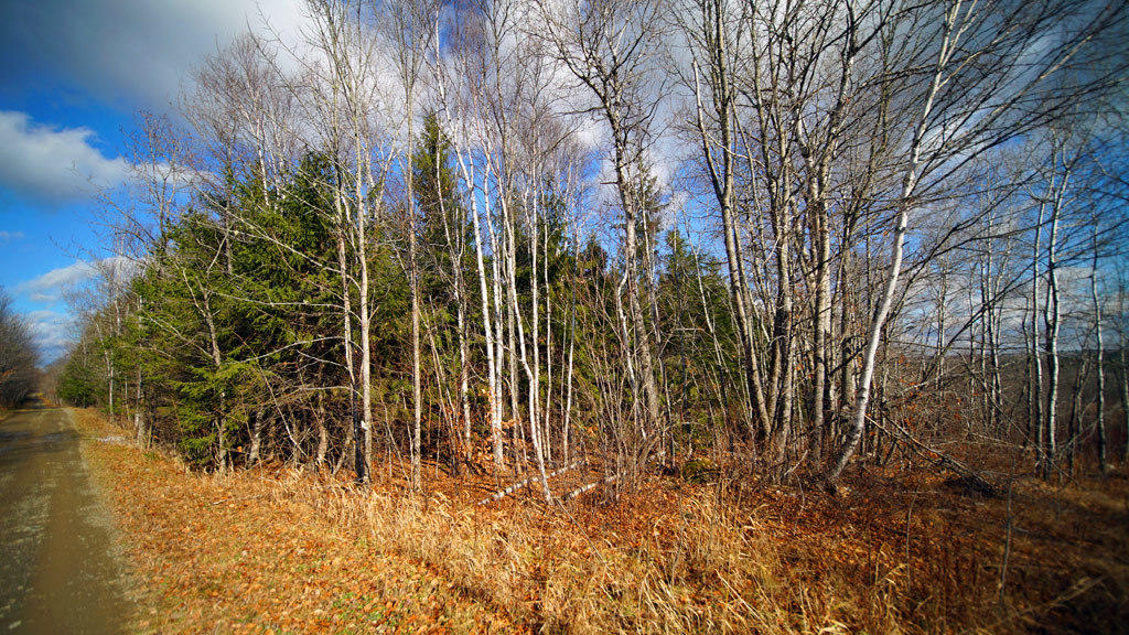 Lot 4.1 Lawlor Ridge Road Benedicta, ME 04733 - Photo 17 of 48 benedicta-lawlor-ridge-rd
