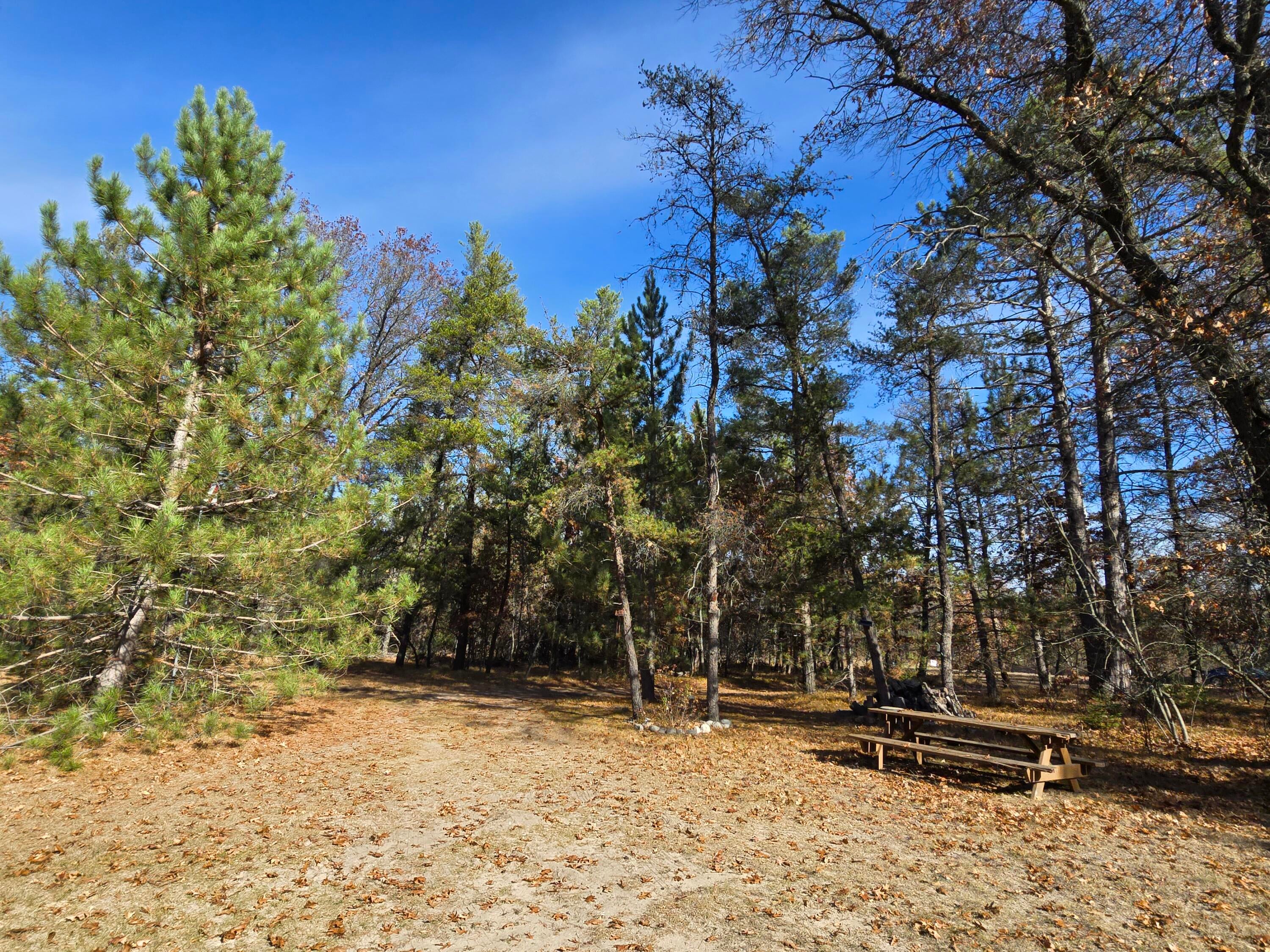 289 Perry Creek Road Mio, MI 48647 - Photo 65 of 93 Gallery Image 65