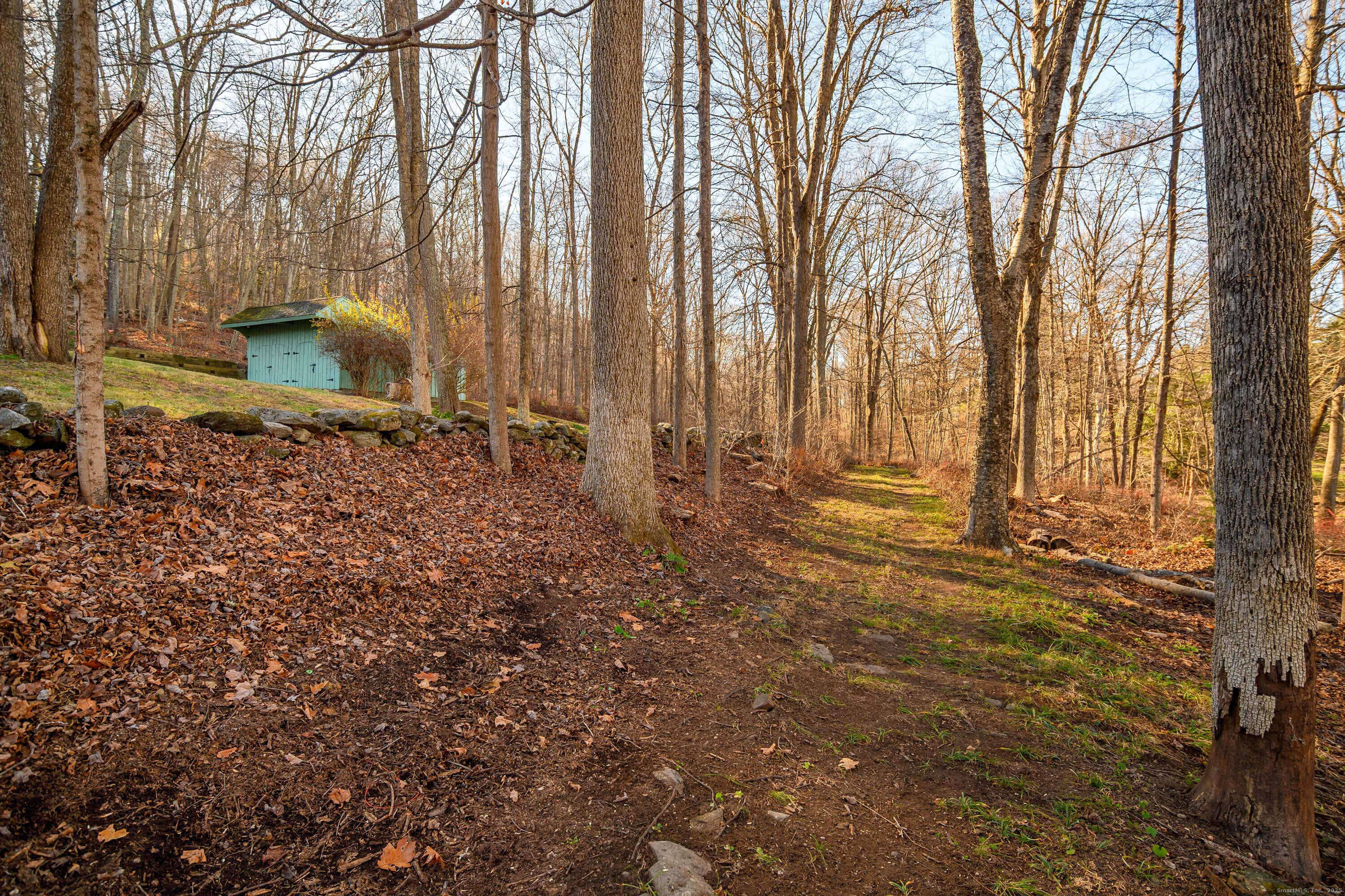 14 Concord Ridge Road Newtown, CT 06482 - Photo 37 of 40 a backyard of a house with lots of green space