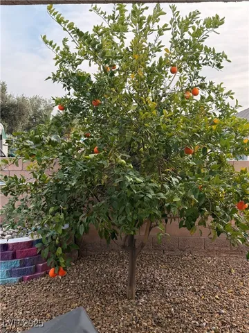 $4,695 | 7220 Shallowford Avenue, Las Vegas, NV 89131