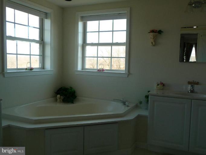1775 Colora Road Colora, MD 21917 - Photo 15 of 25 Master Bath #2