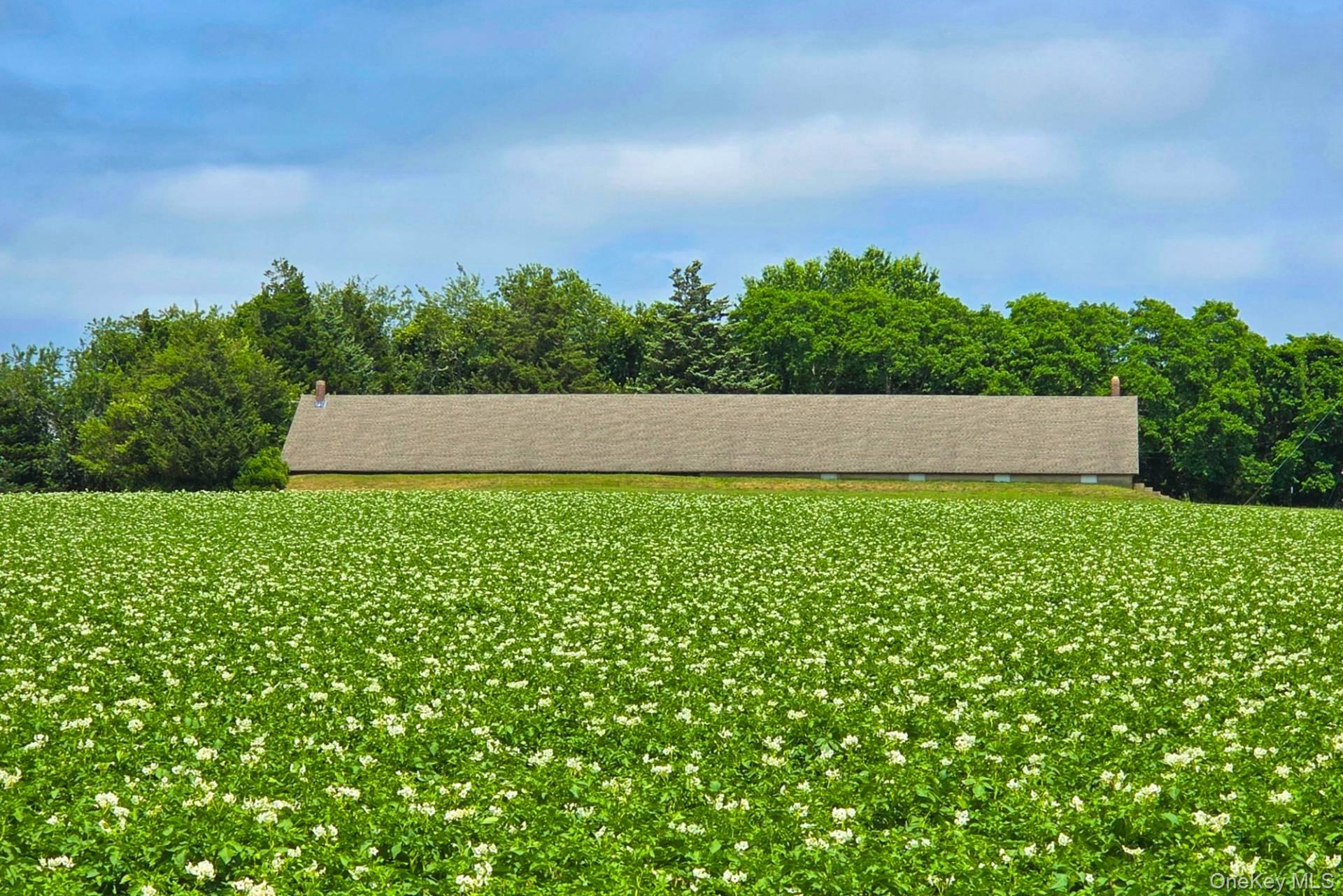 635-731 Deerfield Road Water Mill, NY 11976 - Photo 7 of 10 a view of a field