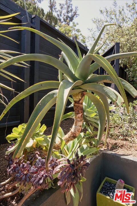 2467 Silver Ridge Avenue Los Angeles, CA 90039 - Photo 41 of 42 a view of water heater room