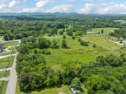 a view of a green yard with large trees