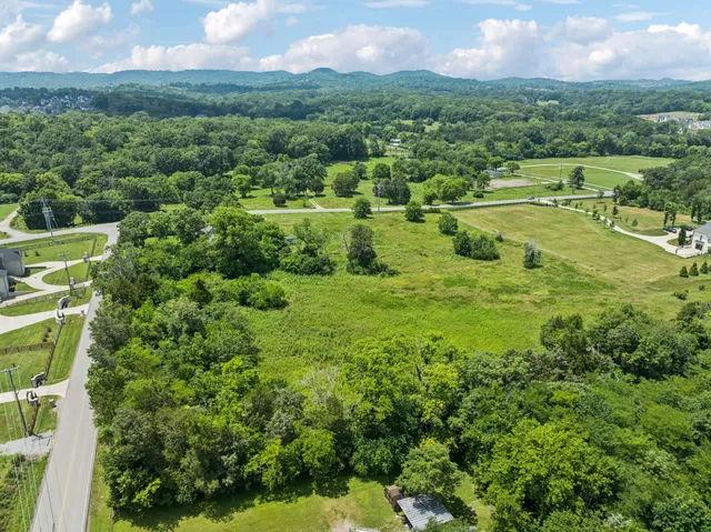 a view of a green yard with large trees