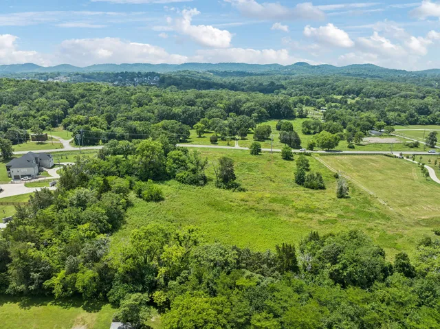 a view of a lush green forest with a houses