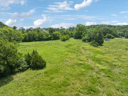 a view of a city with lush green forest