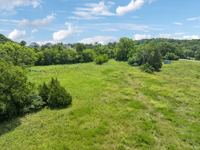 a view of a city with lush green forest